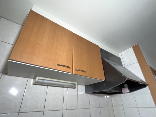 プレサスＳⅡ その他15