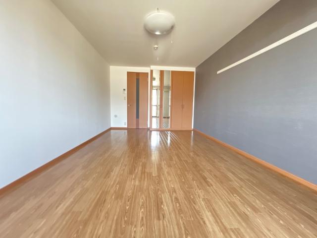 プレサスＳⅡ その他17