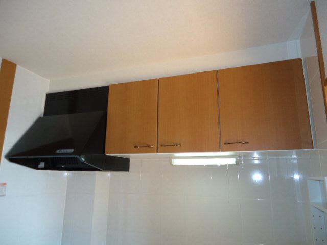 フレンドシップＳＨＯＮＡＮ その他13