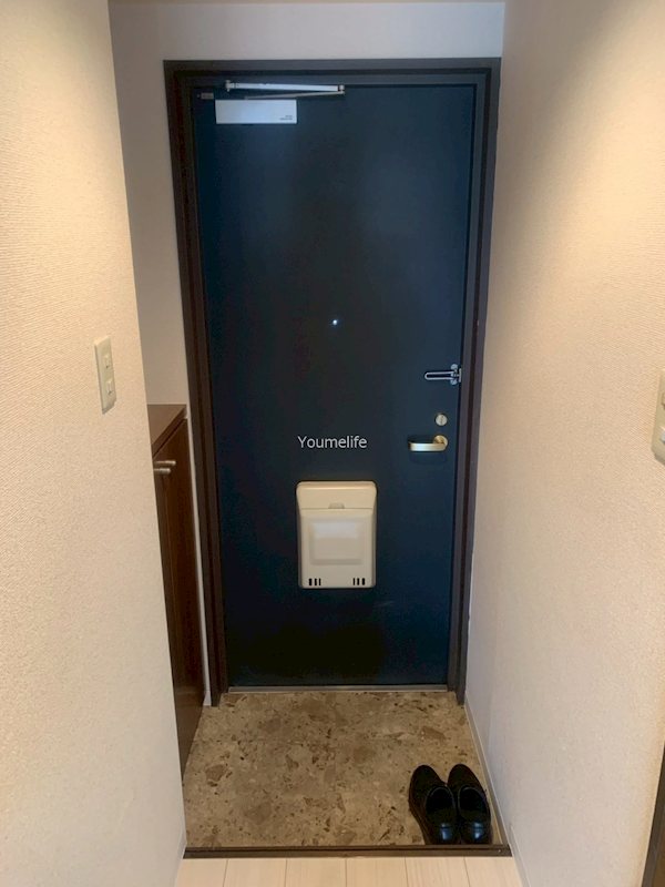 グランドステータス湘南ドリームパレス浜竹 玄関