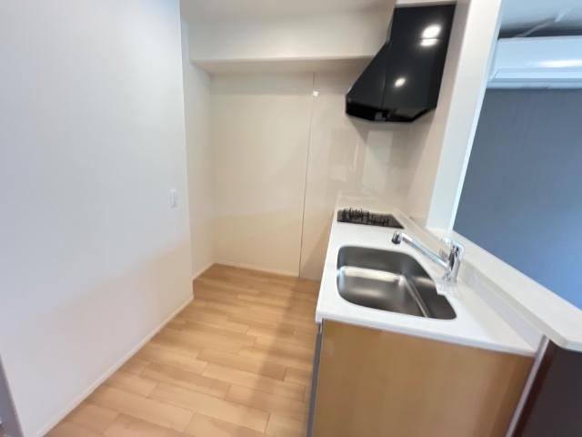 ピュアⅡ その他8