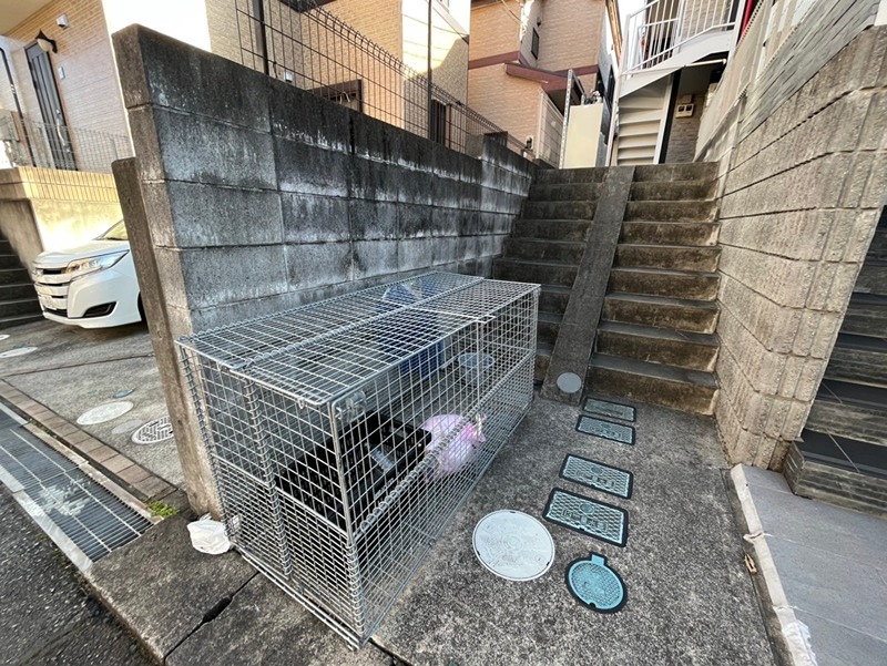 ７ｔｈコーポ善行 その他外観3