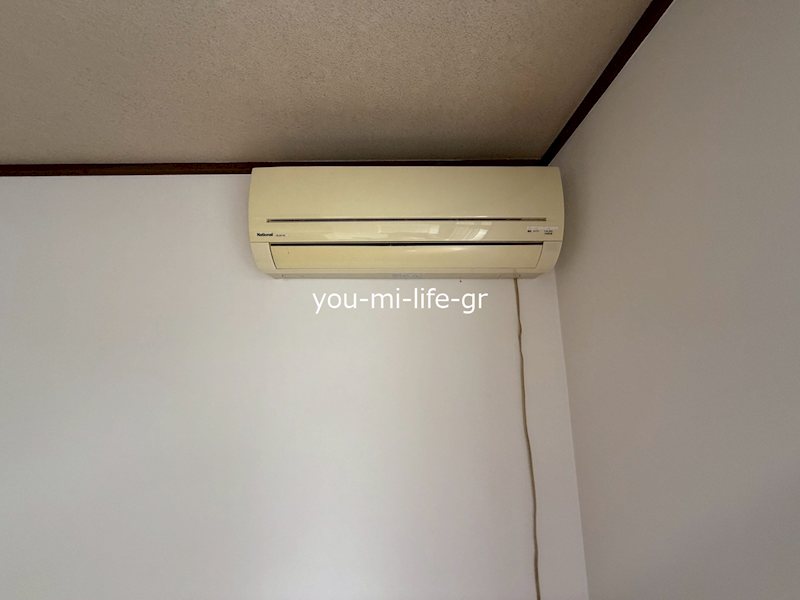 公所戸建 その他3