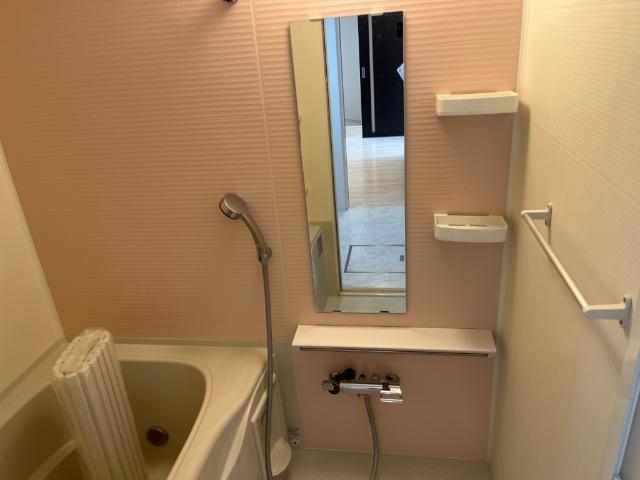 Ｂｒｉｌｌａｎｔ　（ブリリアン） その他8