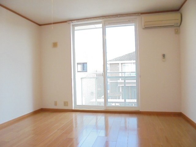 プラシード その他2