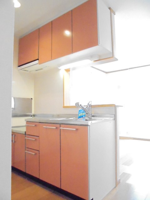 プラシード その他9