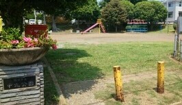 ラピュタテラスＢ その他外観6