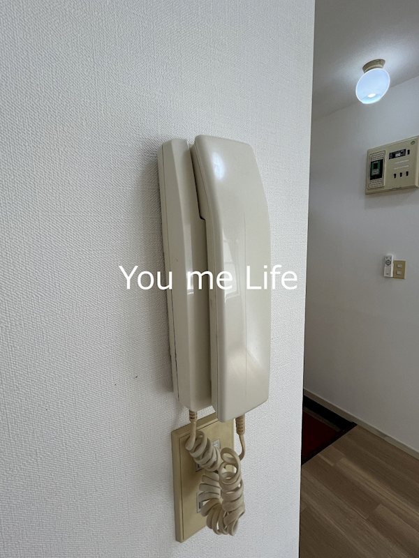 星川アイランド  その他15