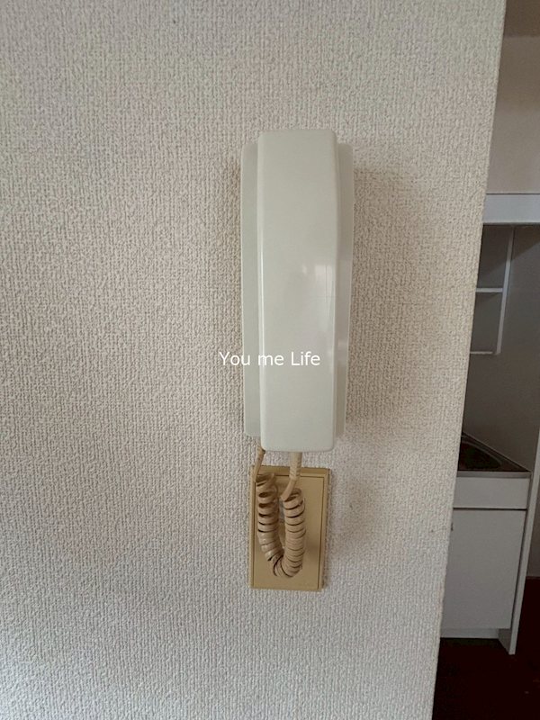 星川アイランド  その他2