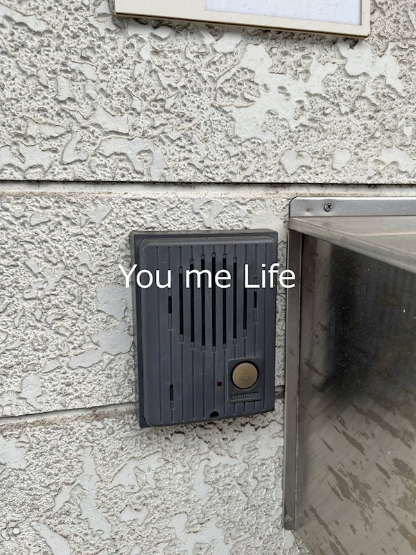 星川アイランド  その他9