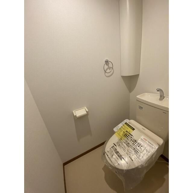 アムール　アンバー その他3