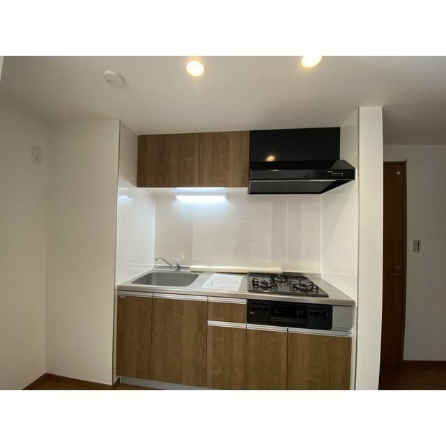 アムール　アンバー その他5