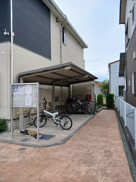 ルピナス その他5