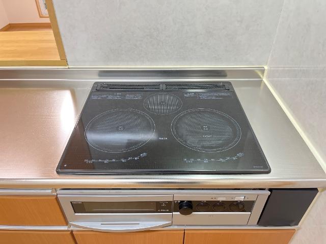 ブロードパインＡ その他12