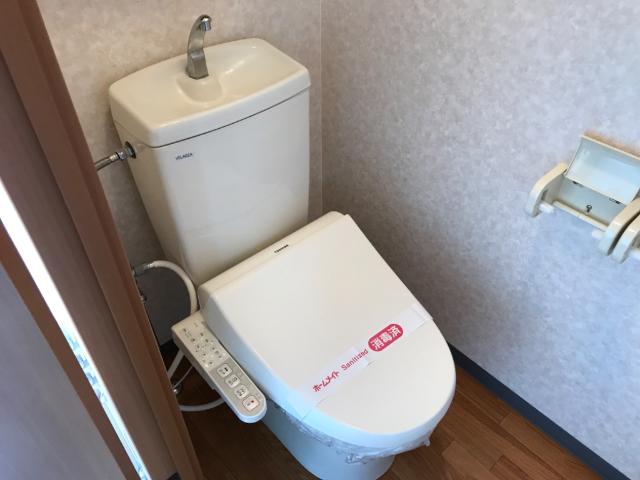 フィジーサイト その他3