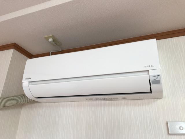 フィジーサイト その他4