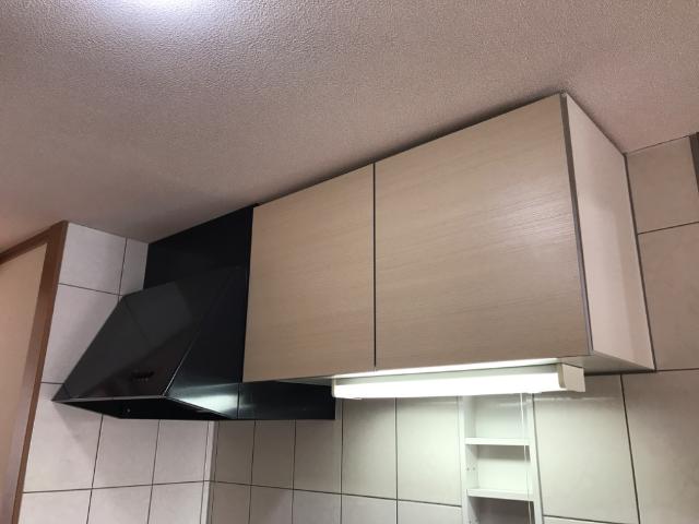 フィジーサイト その他10