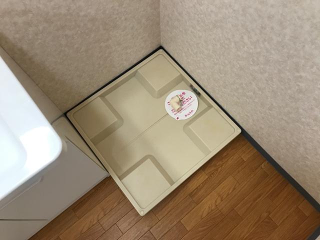 フィジーサイト その他15