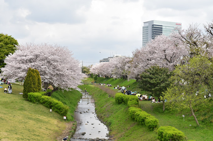 ＭＥＬＤＩＡ海老名 公園