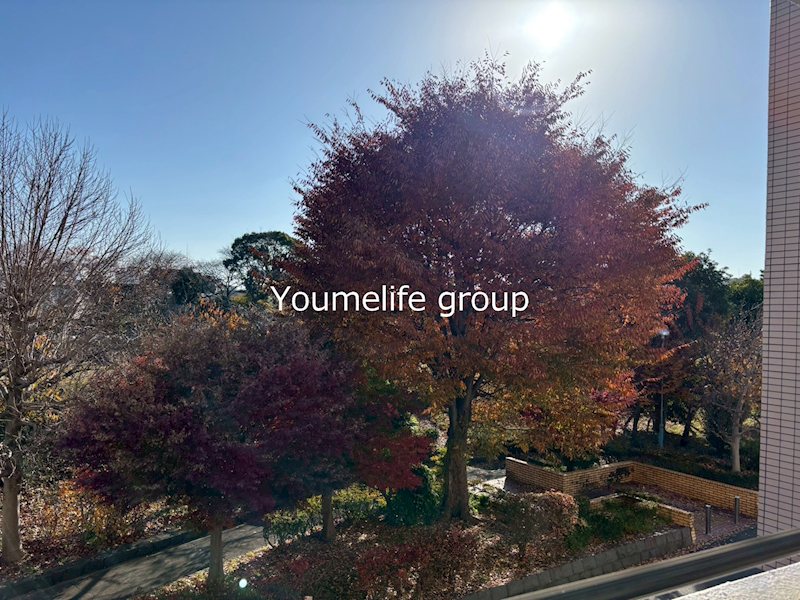 コーポレート本厚木 その他14