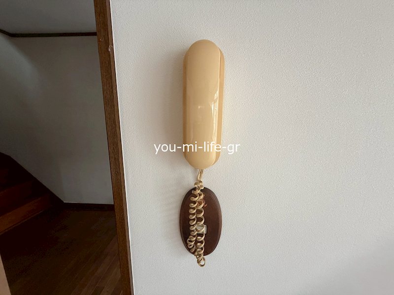 公所戸建 その他4