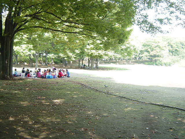 ステイブル湘南Ⅱ その他外観5