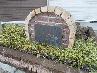 ピュア・グリーンⅡ その他1