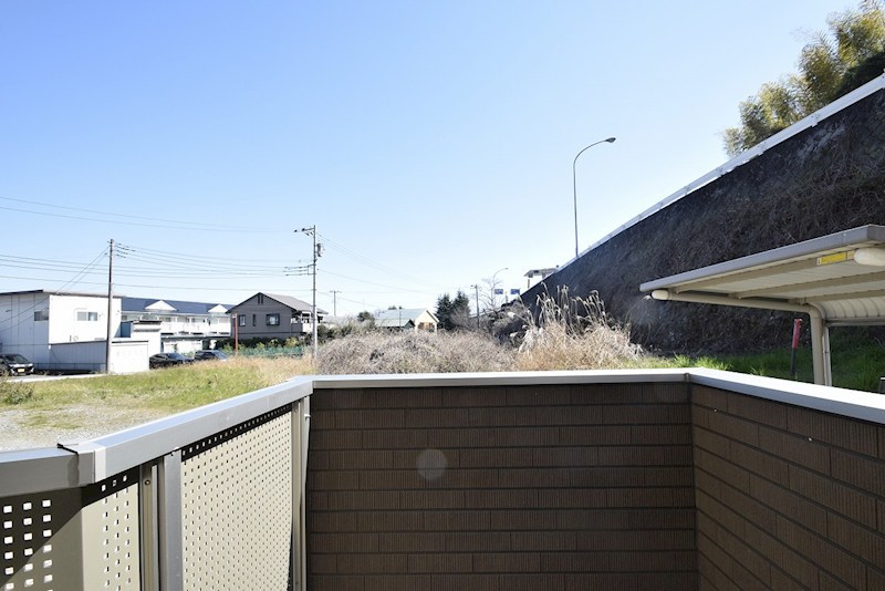 ピュア・グリーンⅡ その他5