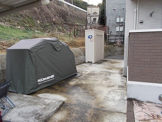 ピュア・グリーンⅡ その他5