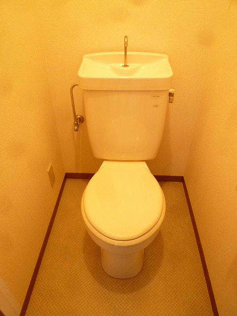 アゼリア その他6