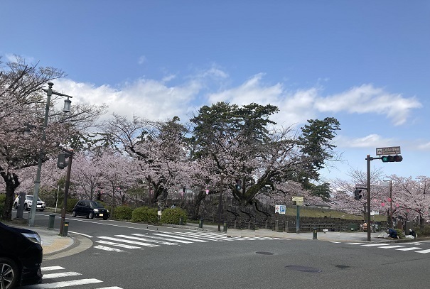 フィオーレ三の丸 その他外観6