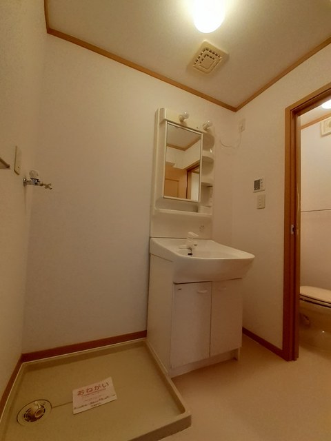 プラム　ブルック その他2