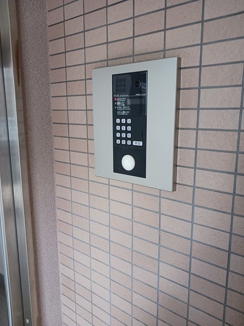 プレド・ルピナス その他5