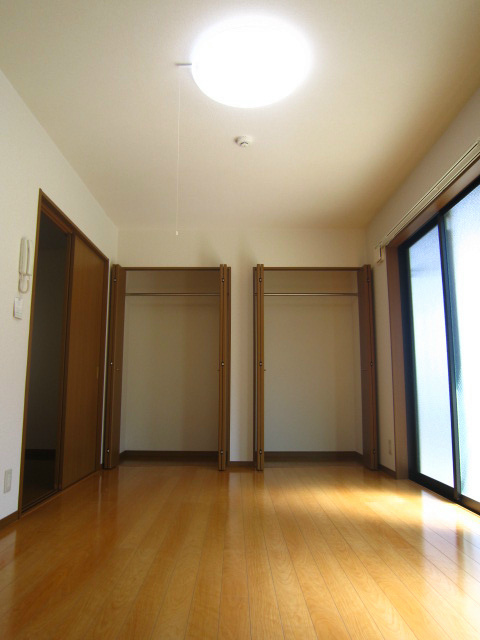 アムール白樺 その他2