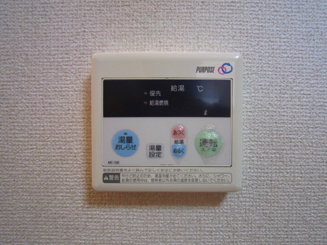 アムール白樺 その他5