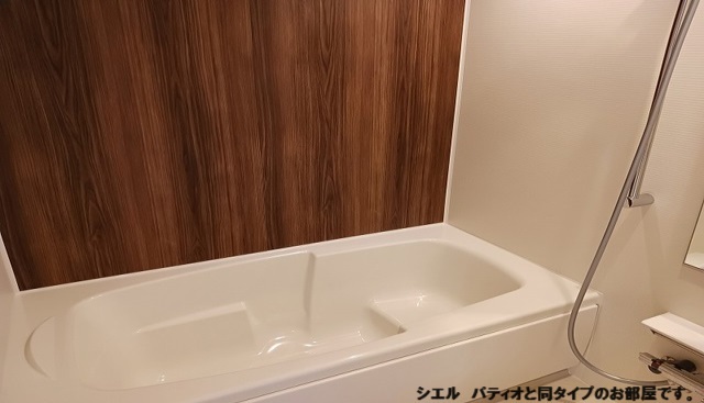 ひだまりガーデンテラスⅠ 風呂画像