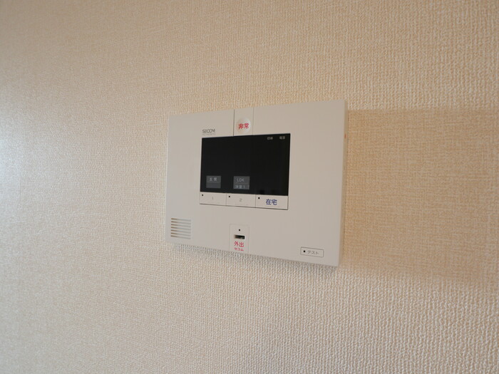 セレナオモダカ その他2