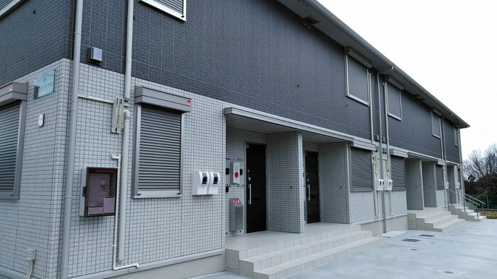 セレナオモダカ その他外観2