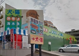 ベル　ウッド その他外観6