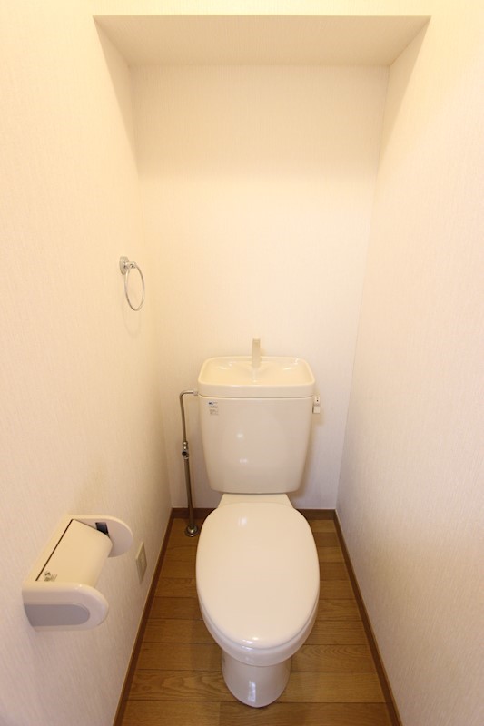 スカイ・フォレスト その他3