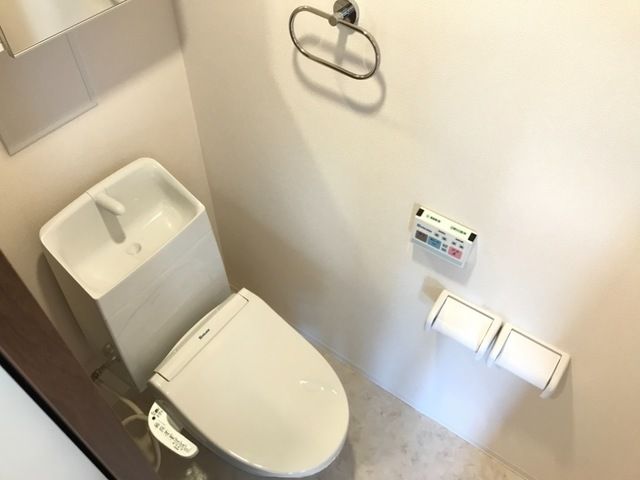 アイルトンハウス その他2