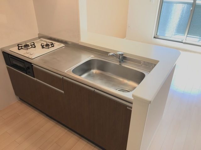 アイルトンハウス その他11