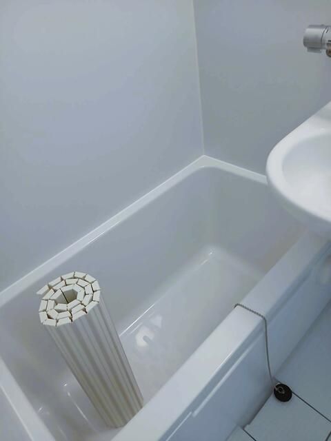 タートルハイムＮ 風呂画像