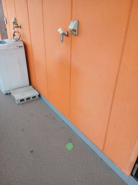 タートルハイムＮ その他外観4