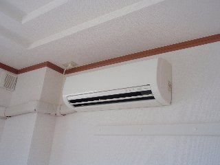 フローラリア その他6