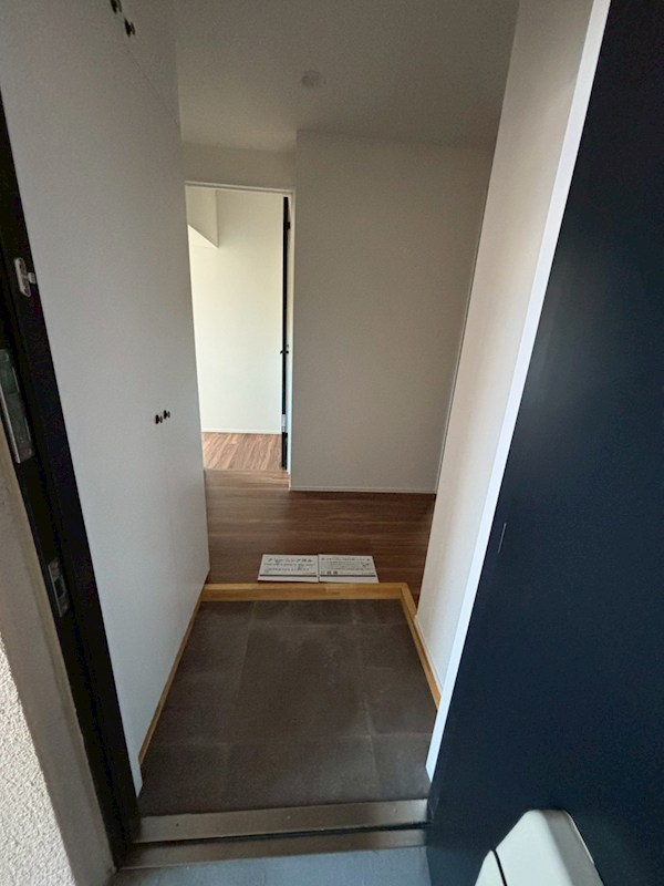第三河原ハイツ 玄関