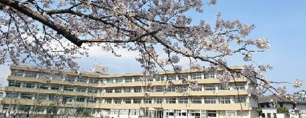 ラヴィータフェリーチェ藤沢 周辺画像6