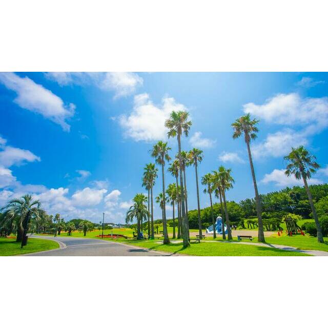 サングリーンたかすな 周辺画像8