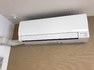 ラウレア　ヒレ その他3