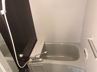 ラウレア　ヒレ 風呂画像